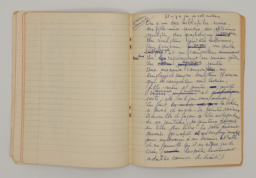 Livraison sans domicile.