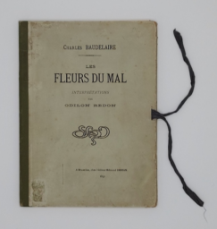 Les fleurs du mal,  interprétations par Odilon REDON